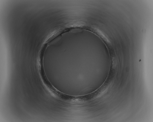 X0000110990634200906261450