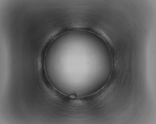 X0000110990635200906261450