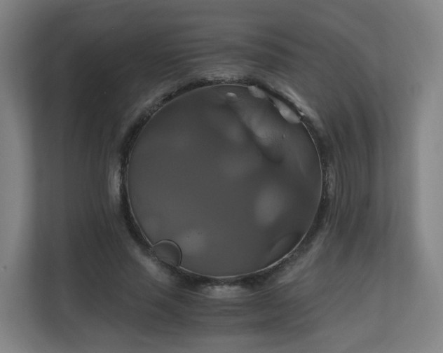 X0000110990637200906261450