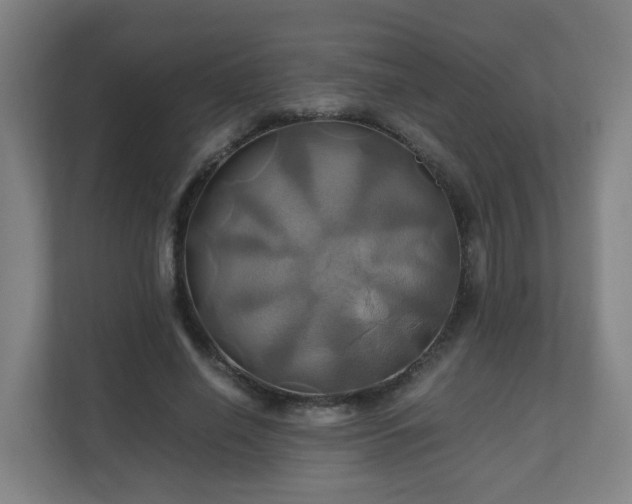 X0000110990638200906261450