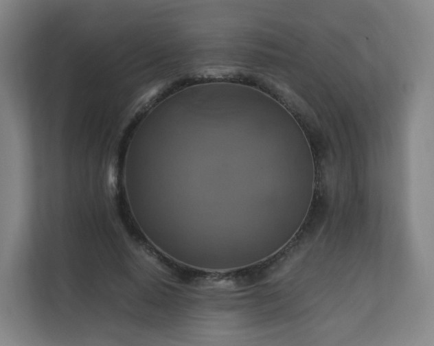X0000110990640200906261450