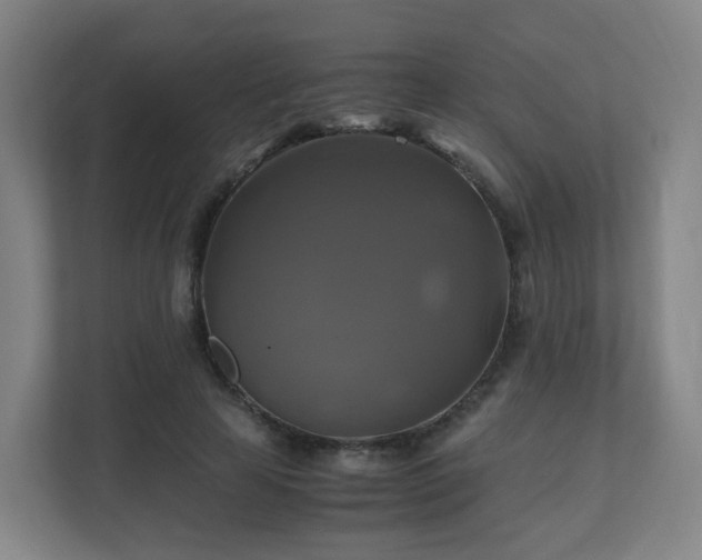 X0000110990641200906261450