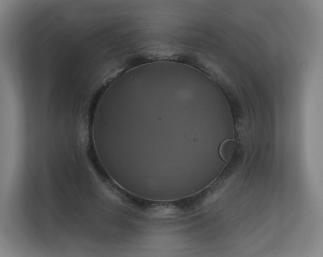 X0000110990642200906261450