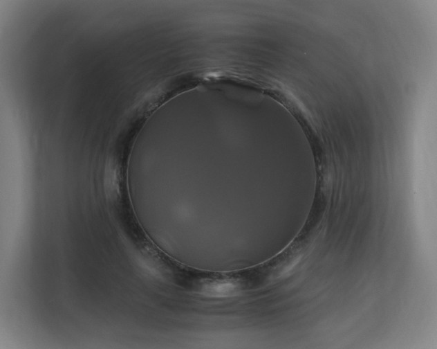 X0000110990643200906261450