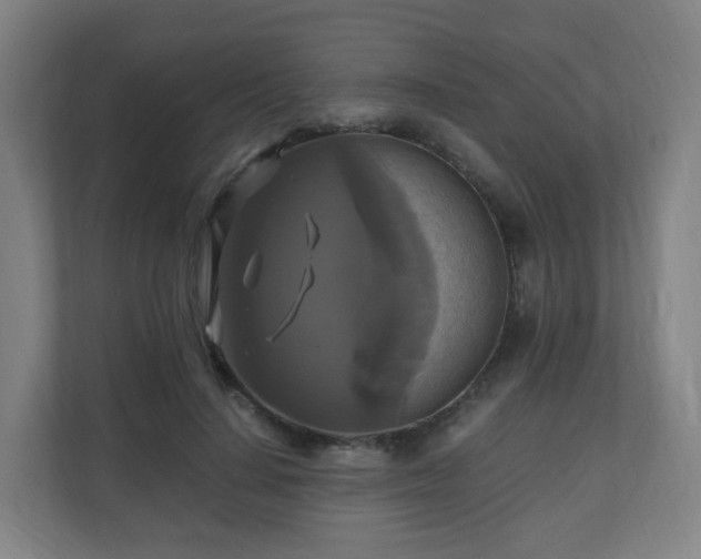 X0000110990644200906261450