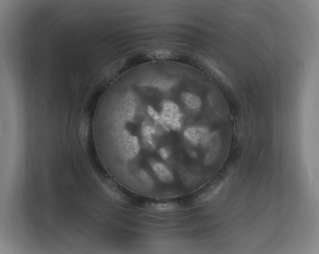 X0000110990645200906261450
