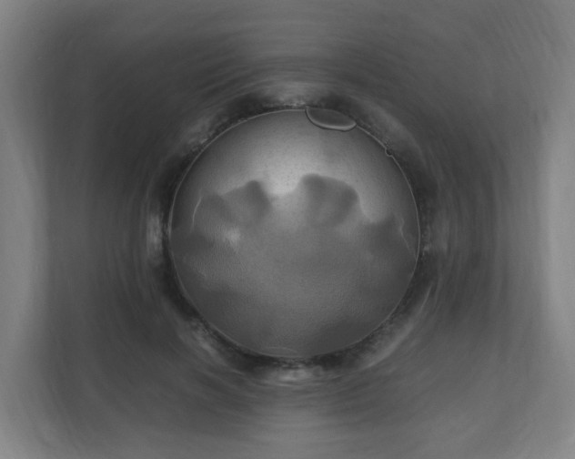 X0000110990646200906261450