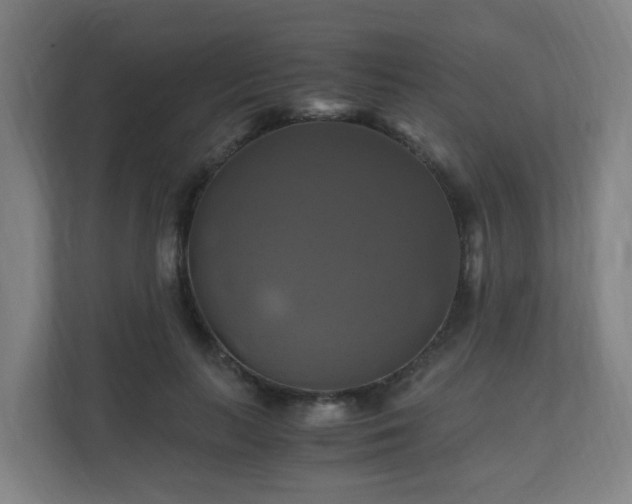 X0000110990647200906261450
