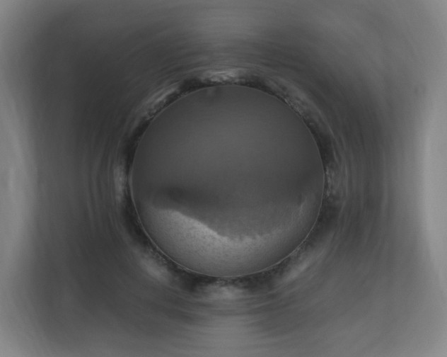 X0000110990648200906261450