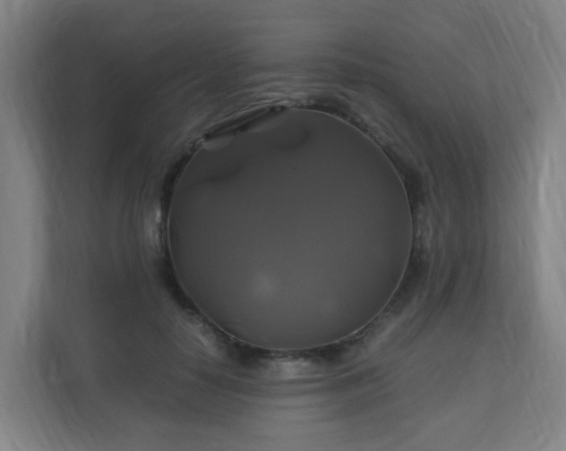 X0000110990650200906261450