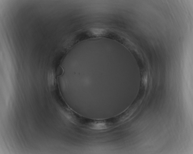 X0000110990651200906261450