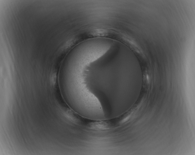 X0000110990652200906261450