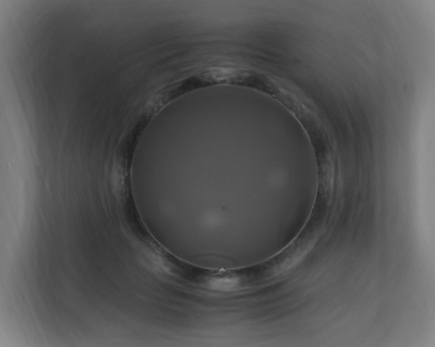 X0000110990653200906261450