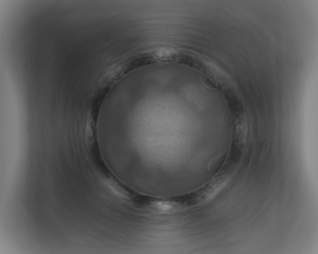 X0000110990654200906261450