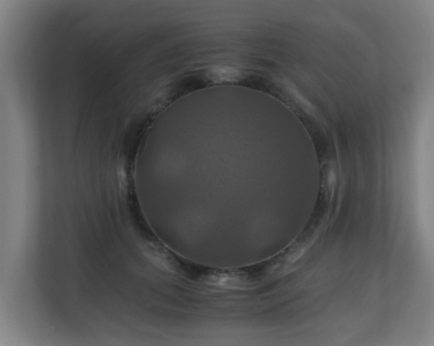X0000110990655200906261450