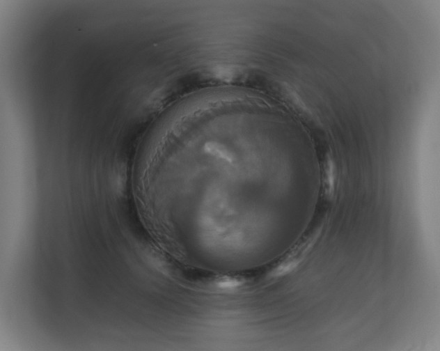 X0000110990656200906261450