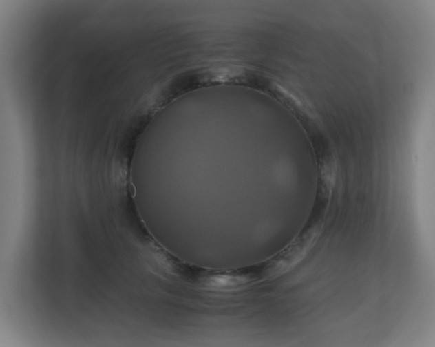 X0000110990657200906261450