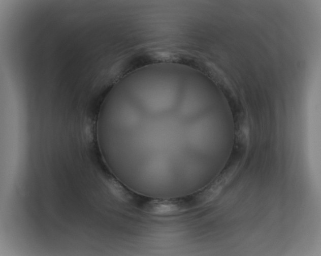 X0000110990658200906261450