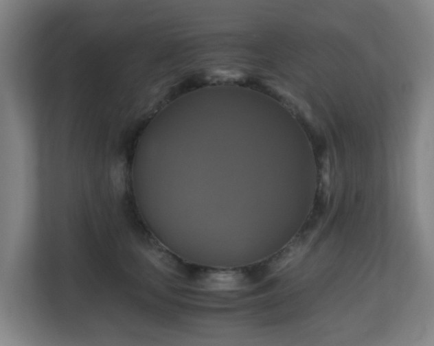 X0000110990659200906261450