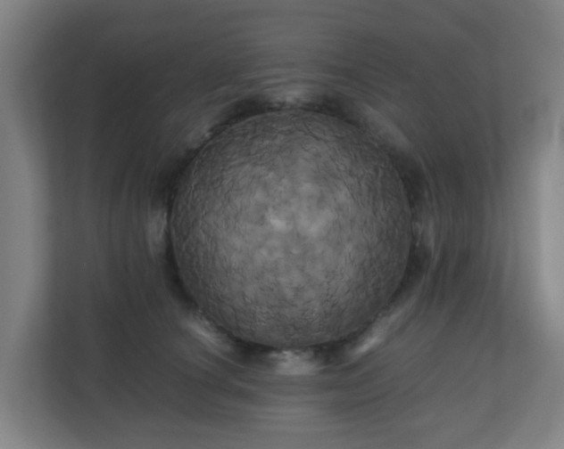 X0000110990660200906261450