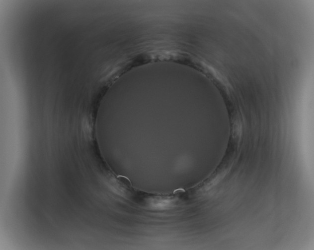 X0000110990661200906261450
