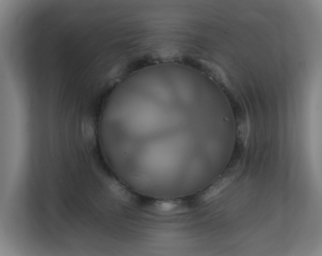 X0000110990662200906261450