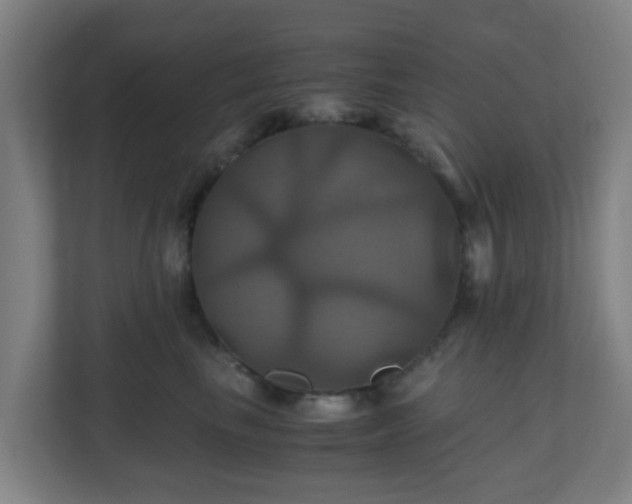 X0000110990665200906261451