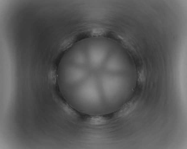 X0000110990666200906261451