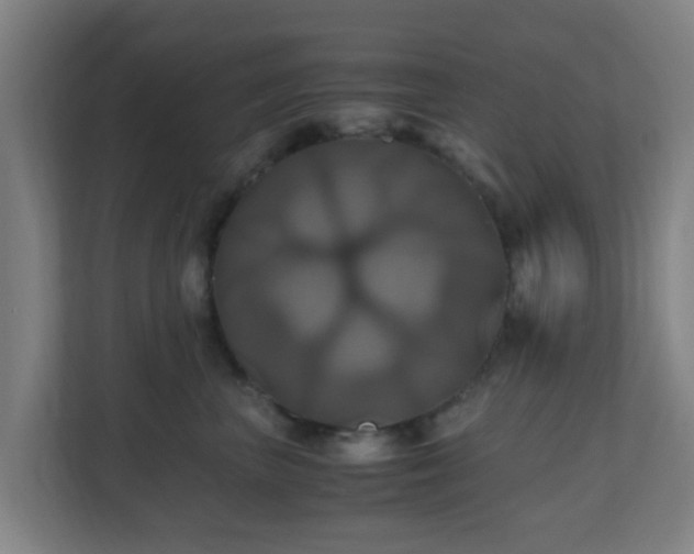 X0000110990667200906261451