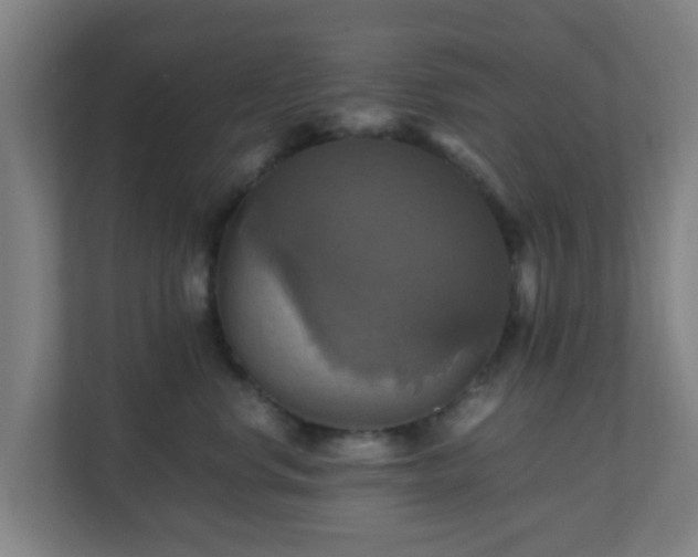 X0000110990668200906261451