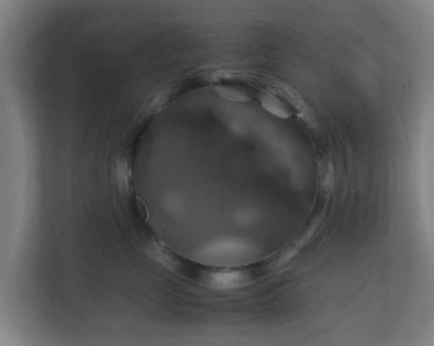 X0000110990669200906261451