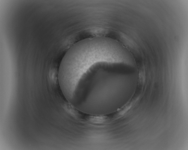 X0000110990671200906261451