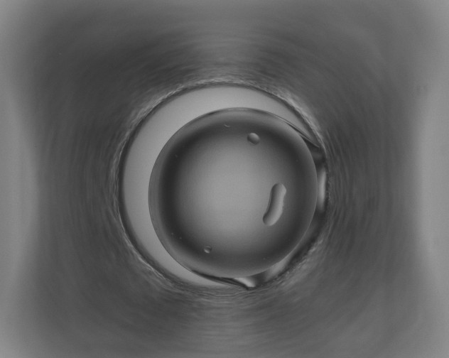 X0000110990673200906261450