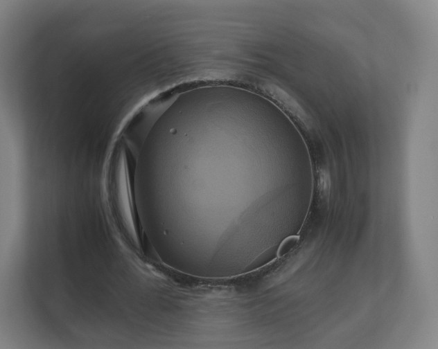 X0000110990676200906261450