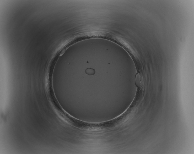 X0000110990677200906261450
