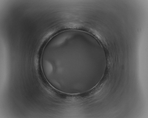 X0000110990679200906261450
