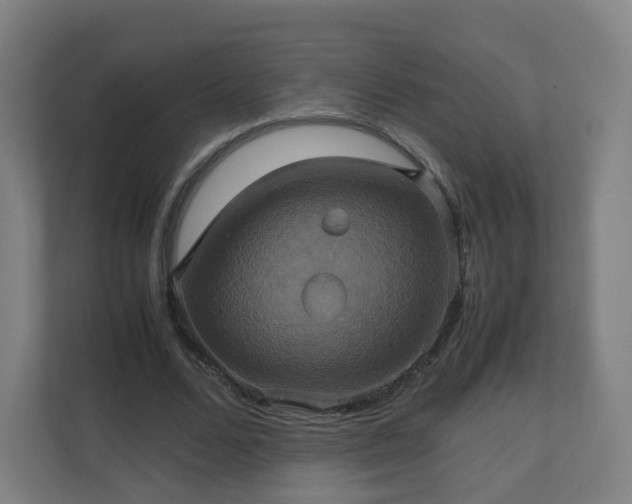 X0000110990680200906261450