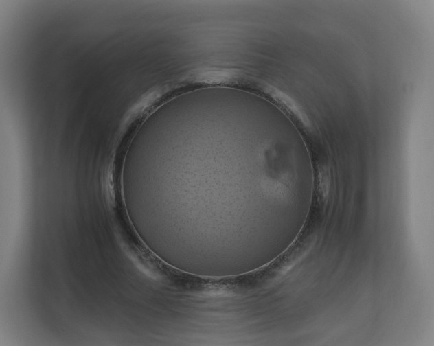 X0000110990682200906261450