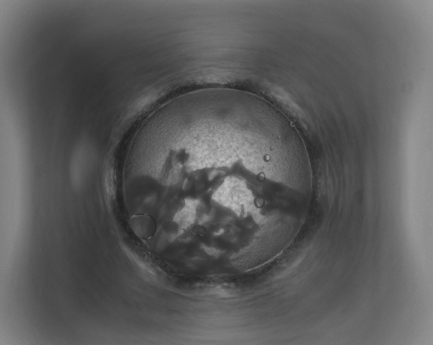 X0000110990683200906261450