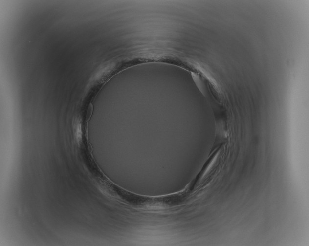 X0000110990685200906261450