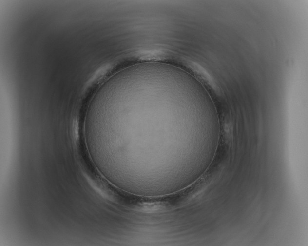 X0000110990686200906261450