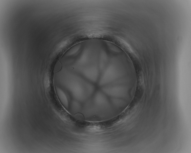 X0000110990687200906261450