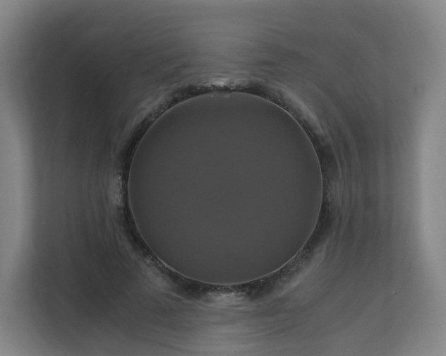 X0000110990689200906261450