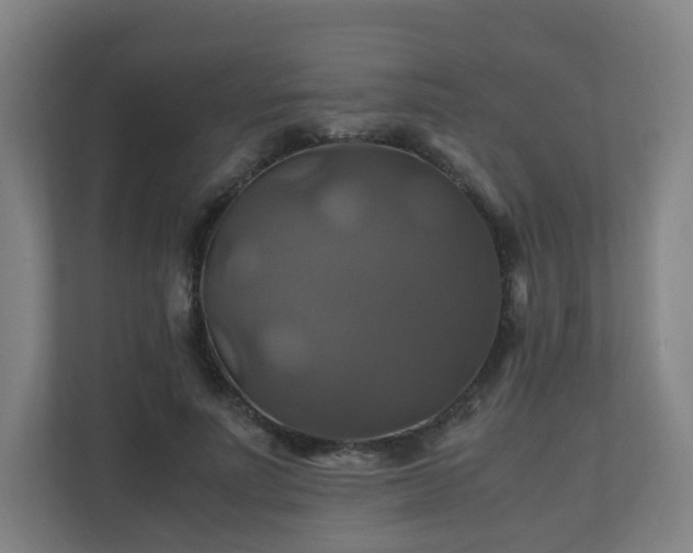 X0000110990691200906261450