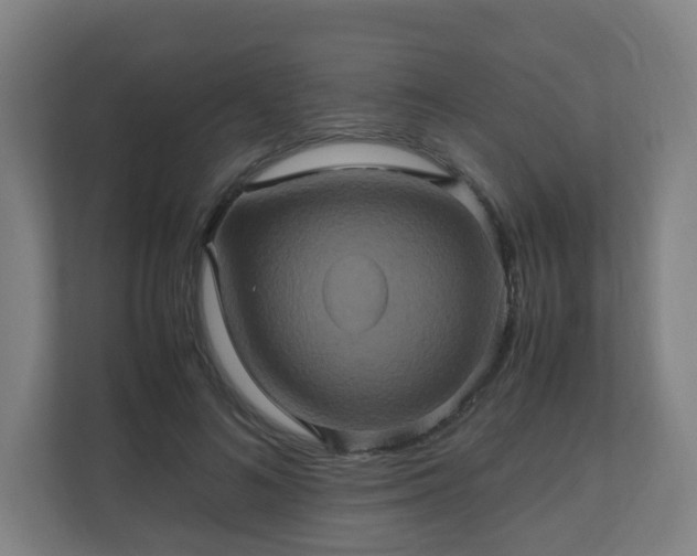 X0000110990692200906261450