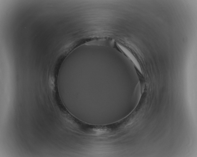 X0000110990693200906261450