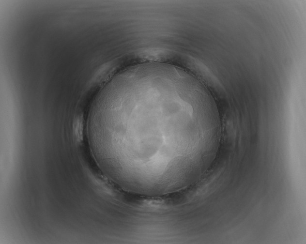 X0000110990694200906261450