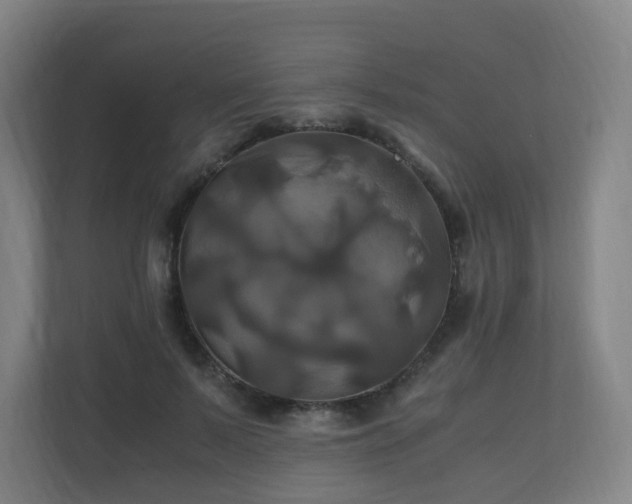 X0000110990695200906261450
