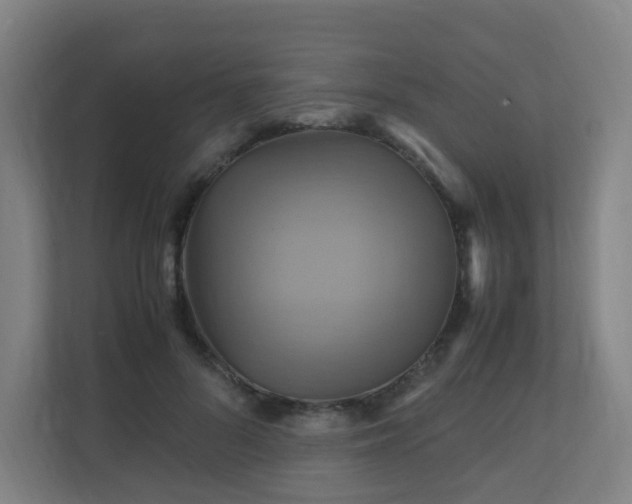 X0000110990696200906261450