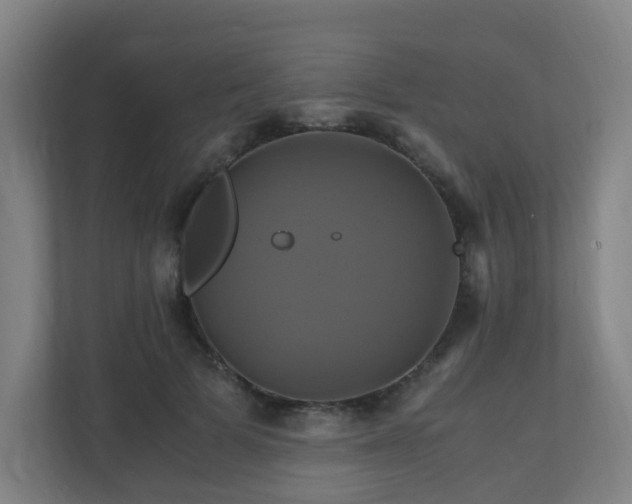 X0000110990697200906261450